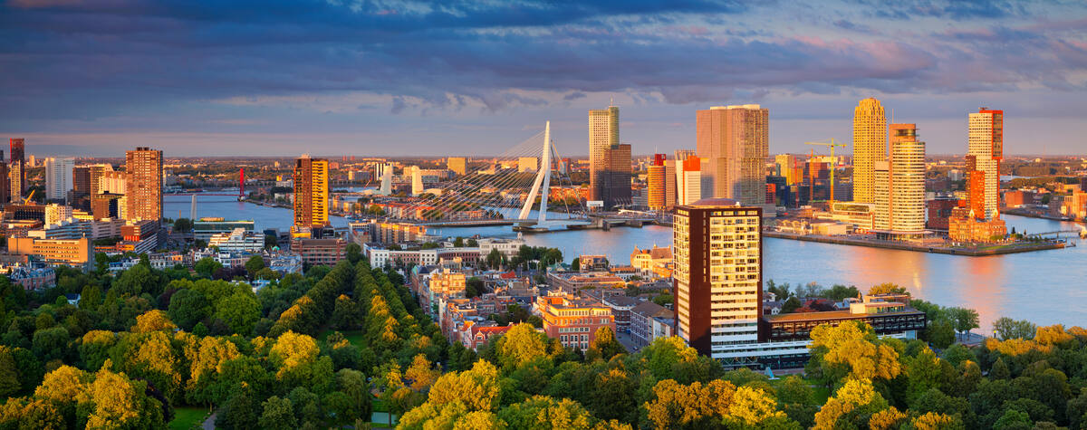 Rotterdam ve Erasmus Köprüsü, Hollanda