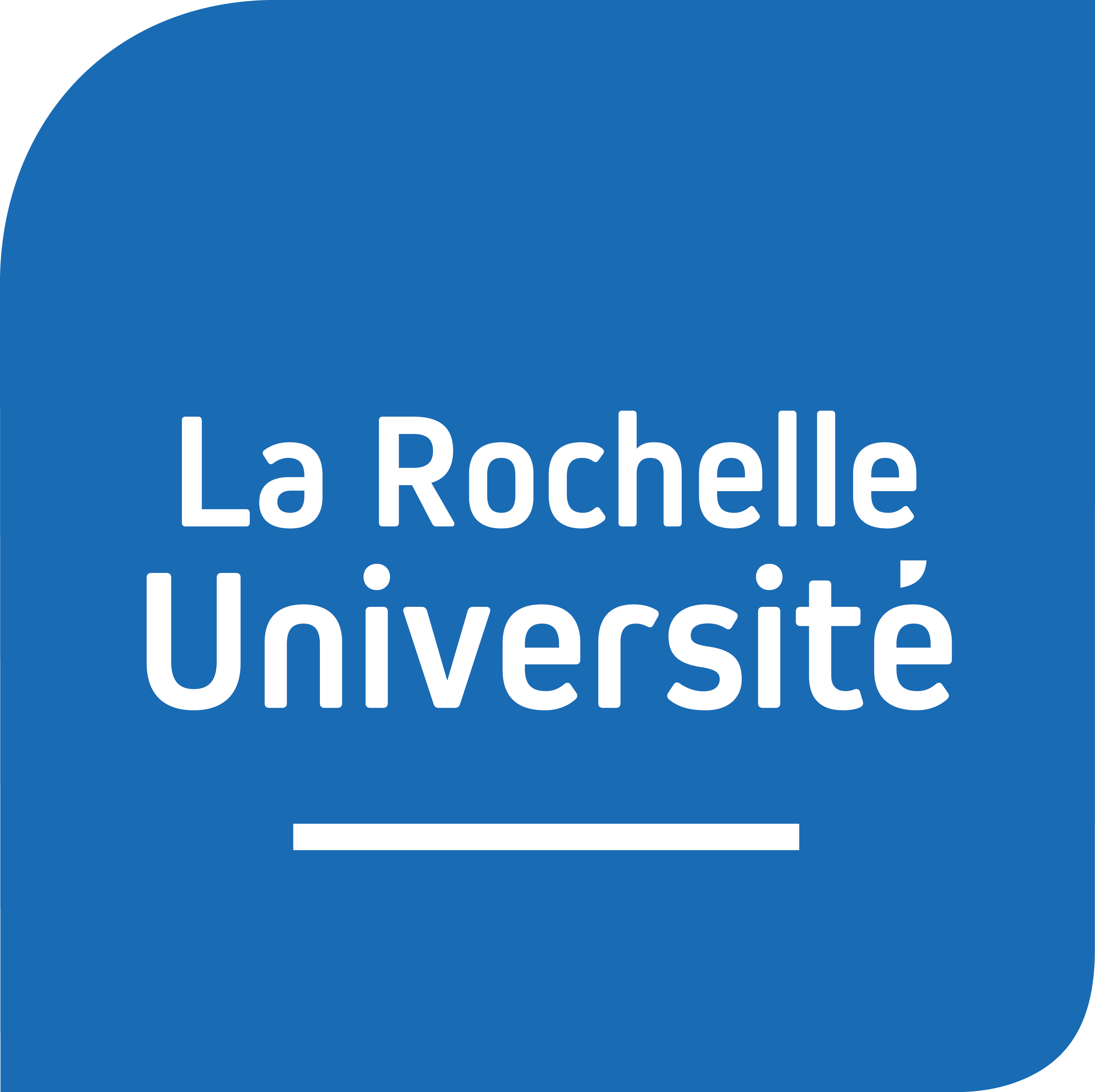La Rochelle Üniversitesi